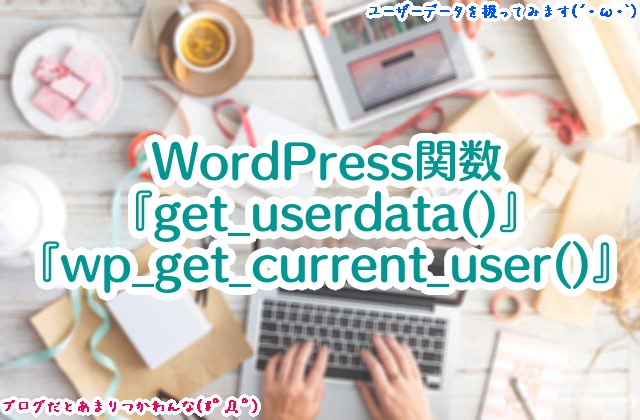 【ユーザーデータ取得】WordPress定義済み関数の『get_userdata()』『wp_get_current_user()』ってどのように違うの